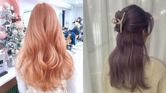 2024春夏髮色推薦:女神感鬱金香色系染髮,隨著光線的低調漸層讓人愛不釋手!