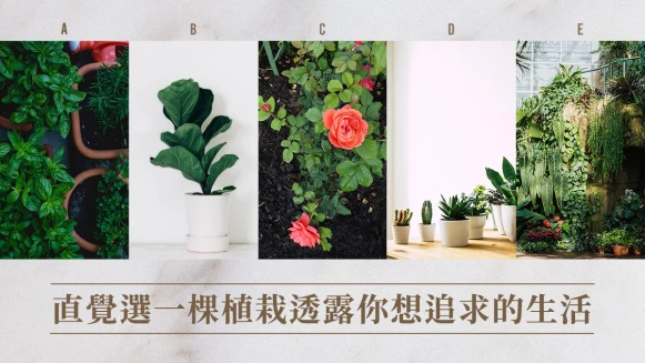 神準心理測驗,直覺選一張圖透露你想追求的生活