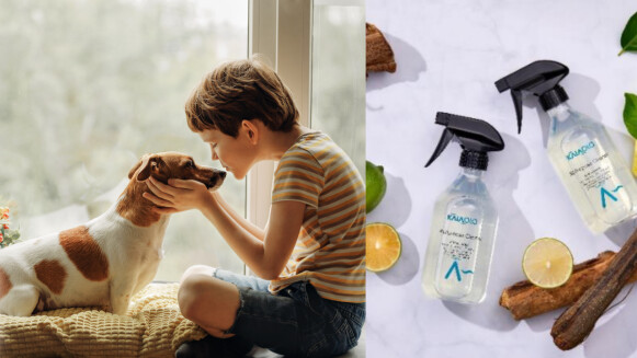 只要一瓶就能解決清潔卡卡的耕樂KaiaOla，傲嬌材質也能輕易收服