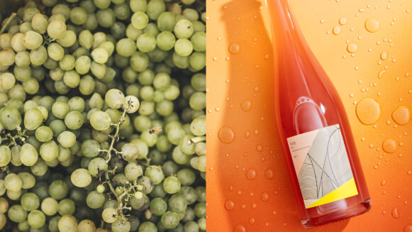釀出台灣頂級葡萄酒的威石東酒莊，2021夏季新酒款上市，錯過只能再等一年