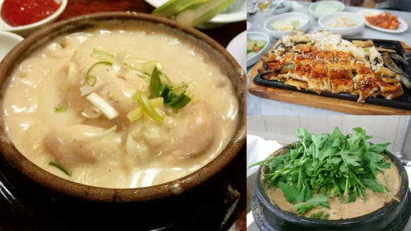 【Julia韓國觀察筆記】三伏天要吃人蔘雞？韓國夏天都吃這些料理補身體！