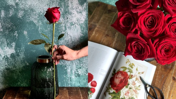 鮮花花束保存簡單5招，輕鬆延長鮮花觀賞期！