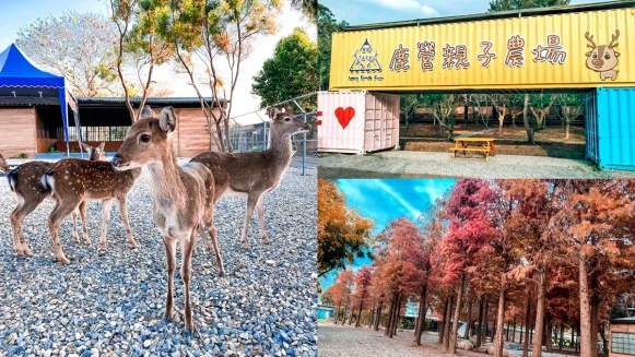 雲林「古坑鹿營農場」讓親子盡情放電！餵梅花鹿、滑草、落羽松好拍又好玩