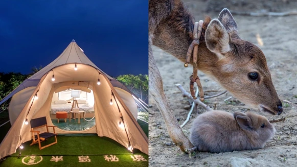 中秋節連假去哪玩？盤點5大賞月景點，露營數星星、夜訪梅花鹿超難忘