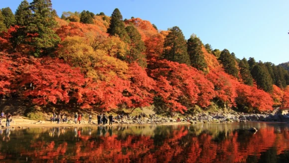【MiKU玩日本】秋天賞楓，日本東海地區紅葉名勝「香嵐溪」一日遊