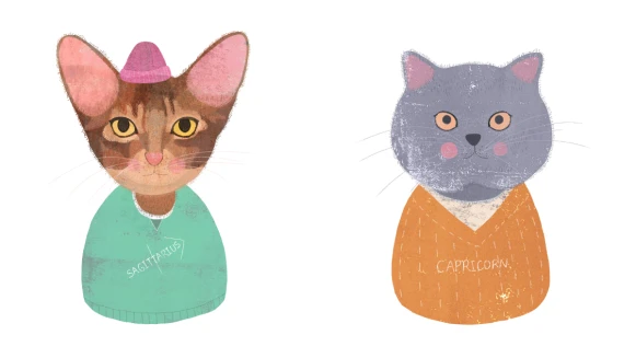 《美麗佳人》12月星座運勢：「天秤座可能戀愛？射手座是時候犒賞自己！」