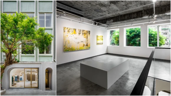 《光之域》展覽藏身中山區老屋,銀座蔦屋書店旗下畫廊THE CLUB二度來台快閃!