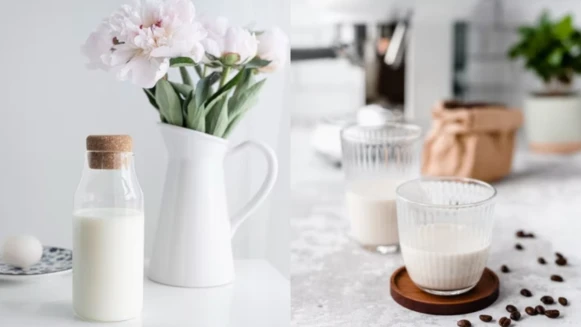 植物奶不是人人都可以喝！營養師告訴妳 植物奶VS.牛奶 哪個更適合妳！
