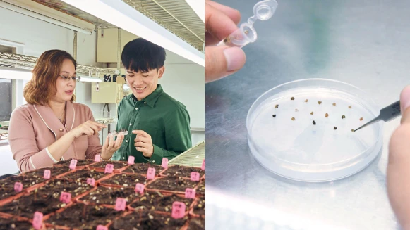 專訪|到宇宙旅行能吃什麼?打造未來生活糧食 台灣種子發射上太空