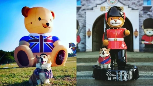 400隻熊熊降臨台南！走馬瀨農場「泰迪熊嘉年華」打造10米高巨熊、泡泡屋、遊樂園，萌到少女心融化