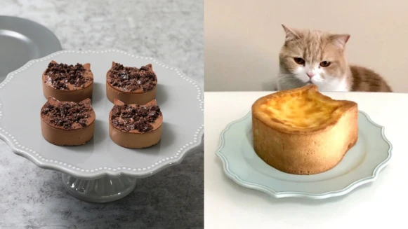 日本NEKO NEKO CHEESECAKE快閃新竹巨城！推限量巧克力貓、母子貓組合
