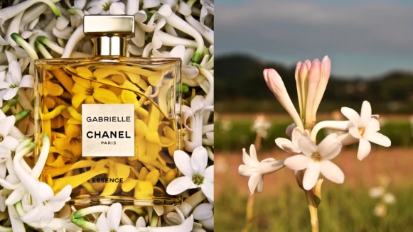 彷彿把陽光穿在身上~香奈兒嘉柏麗琉金香水!四大靈魂花卉香氣,交織出明亮活力的女人氣息,用香傳遞自我感受,把活力帶給旁人!