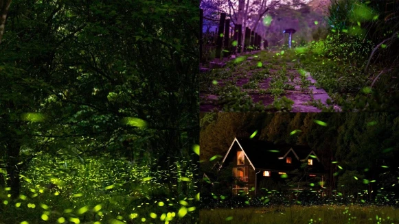 「螢」河級美景來襲！盤點全台6大螢火蟲景點，火金姑飛舞閃爍超浪漫