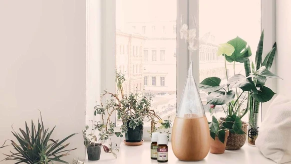 【限時優惠】迎接春日的味道!herbally草本真情開啟你的香氛輕旅程!