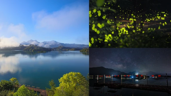 涵碧樓帶你探訪螢火蟲秘境！更加碼推出星空導覽，徹底沈醉夏夜之美