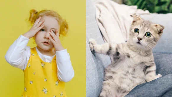 12星座尬聊排行榜公開！TOP1還以為是聊天機器，沒想到是氣氛終結王？