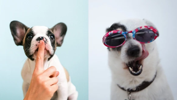 12星座最佳傾聽者排行榜！誰的口風超鬆？秘密剛說完，全世界都知道了