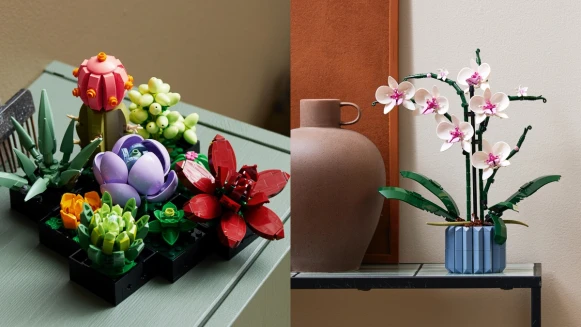 樂高花藝積木再添新成員！多肉植物、蘭花細節超擬真，還在信義區打造快閃溫室