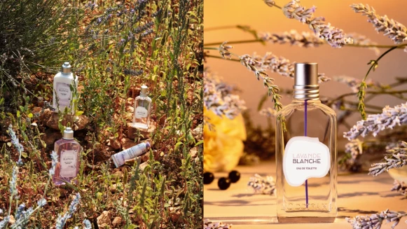 竟然有白色的薰衣草!歐舒丹推出白薰衣草香水,乾淨透明香氣令人著迷