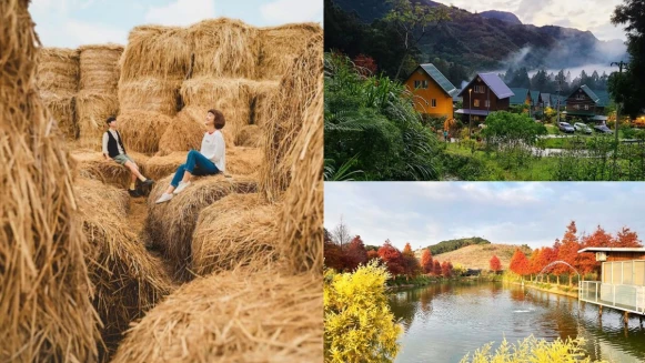 2024嘉義10大景點懶人包！台版合掌村、捲心酥稻草捲、瀑布秘境超好拍