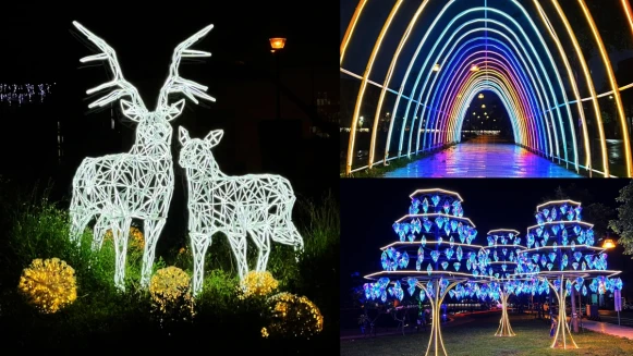 限時一個月「光影藝術節」美呆彰化！梅花鹿、七彩光廊、鑽石光樹點亮河岸，成最新約會打卡景點