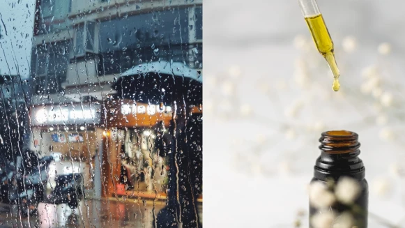 用大自然香氣擊敗雨季阿雜感!適合悶濕雨天的5款精油推薦