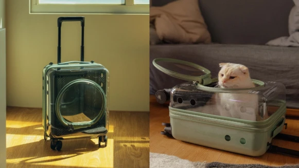 CROWN首度推出絕美「寵物箱」！酪梨綠外觀、透明箱體，毛小孩出遊必備