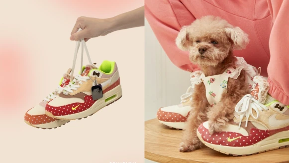 Nike Air Max 1推出萌狗新款：波卡圓點、溫柔奶茶色、全台僅這處開賣