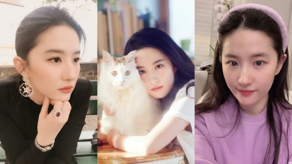 天仙劉亦菲的10大魅力!15歲上大學,曾收養多達50隻貓,素顏上大螢幕也不怕