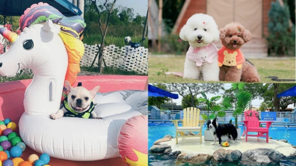 精選全台8處狗狗遊樂園！帶毛小孩出門放風，在粉紅泳池玩水、草皮奔跑、大啖美食
