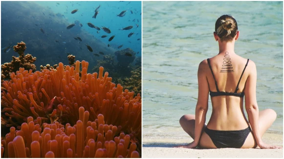 大家都在討論的「海洋友善防曬」是什麼？為了對地球好，沒有下海也要用嗎？