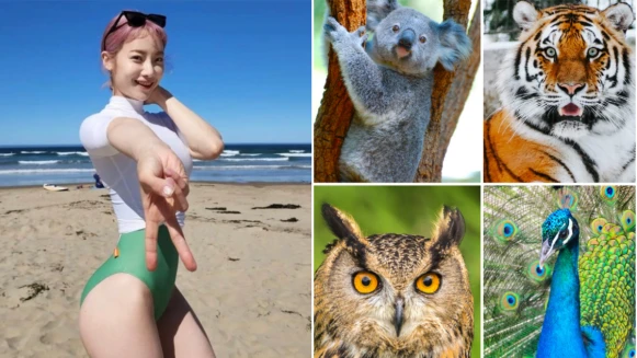 超神準心理測驗:從動物的個性選出最適合妳的瘦身運動!