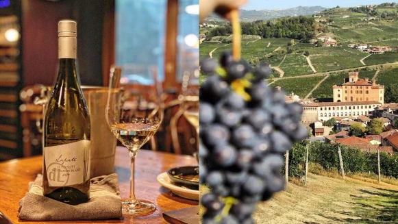 你懂紅酒嗎？！從產地、年份、風味...帶你認識葡萄酒，打破原有的印象