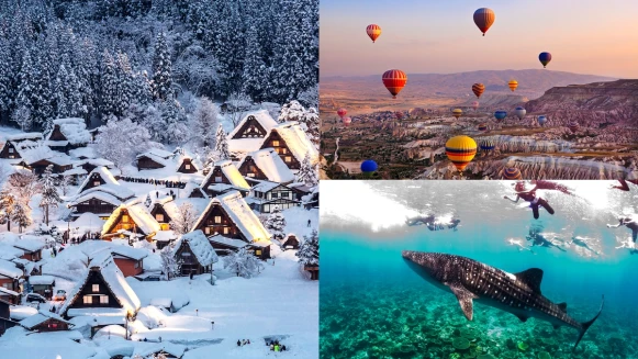 入境台灣免隔離！旅行社超佛自由行、團費一次看，還能免費辦護照，最低2萬有找