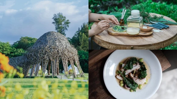 雙十連假衝勤美學沉浸森林魅力！首度推出為期3天「木市藝術祭」，五大主題從味覺到嗅覺徹底療癒