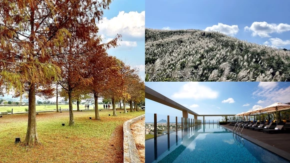 秋季限定銀白芒草、唯美落羽松來了！礁溪晶泉丰旅帶你收割期間美景，晚上再泡無邊際泳池超解憂