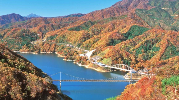 日本福井縣在地推薦秋遊賞楓勝地五選，漫步在原始森林裡的紅葉秘境！