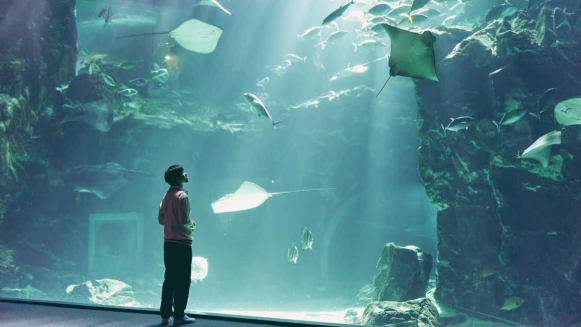 不完美也是種完美！不用「好與壞」區分，試著愛上這個不好不壞的世界