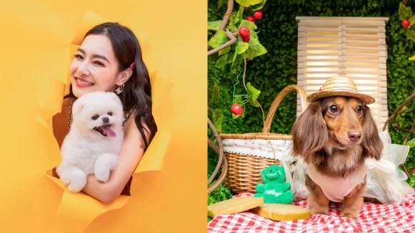 寵物旅遊實境節目《萌寵明星粗乃玩》第二季開播!王思佳攜愛犬來報到,吳姍儒允諾錄完才去生小孩