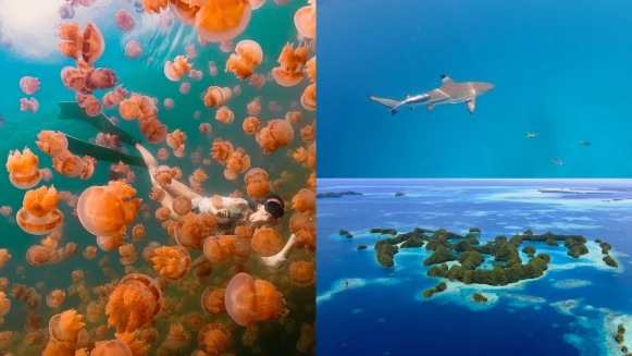 到帛琉玩現領美金100元！9大必去人氣景點、特色行程懶人包，立刻啟程夢幻熱帶天堂