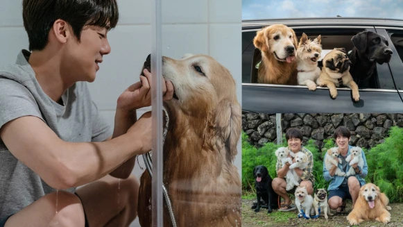 《超完美狗保姆》狗狗&amp;女友二選一？發生痛苦時，一起克服的才是家人