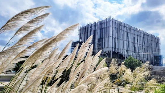 「新北市美術館」打造蘆葦叢中的純白藝術品！北台灣最新地標4/15開幕，活動、交通一次看