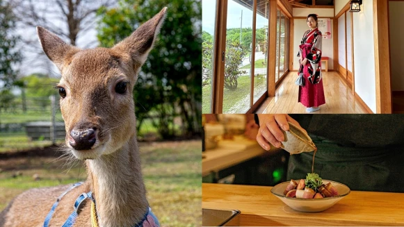 宜蘭綠舞飯店4大新亮點玩法！可愛梅花鹿報到、無菜單料理品嚐當令海鮮、穿大正時期摩登裝扮