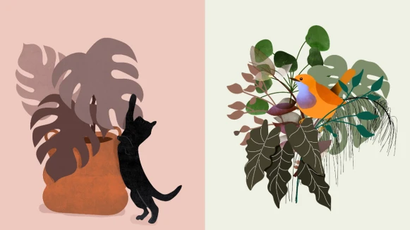 新手菜鳥不要怕！紫微斗數零基礎簡易版 認識14主星入門篇（上）