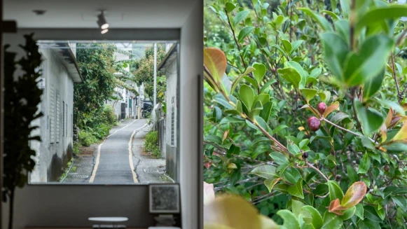 【美妝說書人】茶籽堂真的有苦茶籽田、第一樣商品是洗碗精、竟然開了民宿！