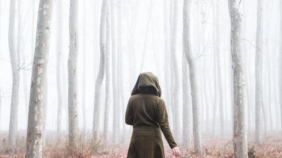 2023下半年生肖流年運勢！屬虎恐捲入三角戀、屬蛇努力會被看見、屬猴切忌太懶散