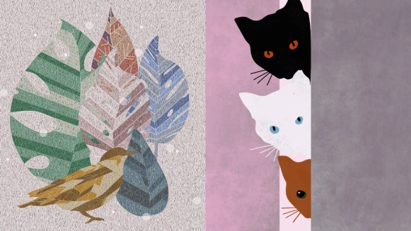 新手菜鳥不要怕！紫微斗數零基礎簡易版 認識14主星入門篇（下）