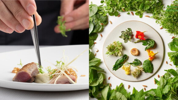 米其林指南美食饗宴，微風獨家推出專屬菜單迎賓酒，打造沉浸式用餐體驗