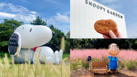 「史努比庭園」濟州島必去景點！11大主題區域、四季美景可愛到融化，SNOOPY大頭麵包逼人刷機票