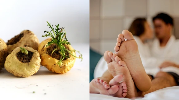 【保養知識王】瑪卡是什麼？其實不只有助男性活力，女生也可以精力充沛！